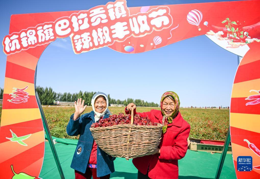 柚子夺宝金币提到什么地方